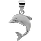 Zilveren hanger, dolfijn