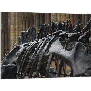 WallClassics - Vlag - Zwart Skelet van een Dino - 100x75 cm Foto op Polyester Vlag