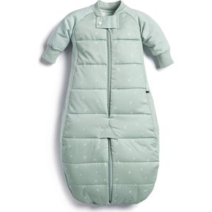 Ergopouch Sleepsuit Slaapzak - 2,5 Tog - 8-24md - Slaapzak Baby - Slaapzakken - Slaapzak baby winter - Sage