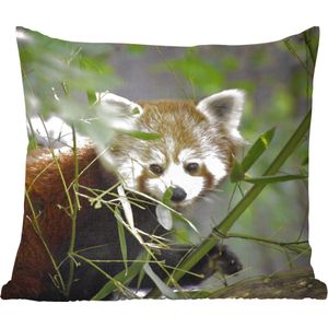 Sierkussen Rode panda voor binnen - Baby rode panda tussen de takken - 45x45 cm - vierkant binnenkussen van katoen