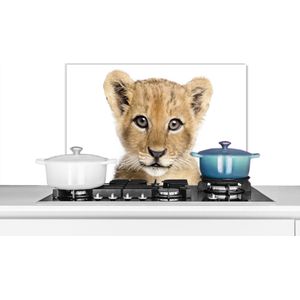 Spatscherm keuken 70x50 cm - Kookplaat achterwand Leeuw - Dieren - Natuur - Wit - Muurbeschermer - Spatwand fornuis - Hoogwaardig aluminium
