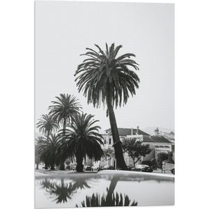 WallClassics - Vlag - Palmbomen in Amerikaanse Buurt (Zwart- wit) - 40x60 cm Foto op Polyester Vlag