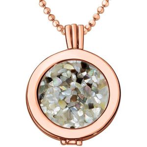 Quiges - Munthouder met Ketting en Munt 25mm Schelp Vlokjes Grijs - Rose Goudkleurig - EPRHZ309