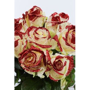 Rozen.nl - Make-up Glitter rozen rood - Verse rozen - bos 20 stuks (70cm)