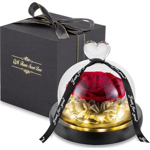 Equivera Eeuwige Roos in Koepel - Rood - LED licht - Met Geschenkdoos - Romantisch - Valentijn - Moederdag - Perfect Cadeau