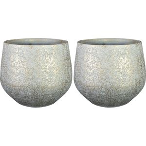 Steege Plantenpot/bloempot - 2x - keramiek - metallic zilvergrijs/touch of gold - D23/H20 cm