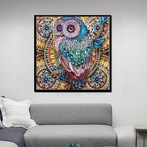 5D diamantschilderij kat,diamantborduurwerk 30 x30 CM