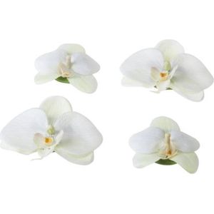 Velda Vijver Vijvertechniek Drijvende Vijverplant Orchidee Wit 7/9Cm
