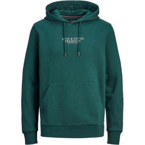 JACK & JONES Arie sweat hood slim fit - heren hoodie katoenmengsel met capuchon - groen - Maat: L