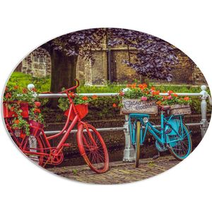 WallClassics - PVC Schuimplaat Ovaal - Rode en blauwe Fiets met Bloemen bij wit Hek voor de Gracht - 108x81 cm Foto op Ovaal (Met Ophangsysteem)