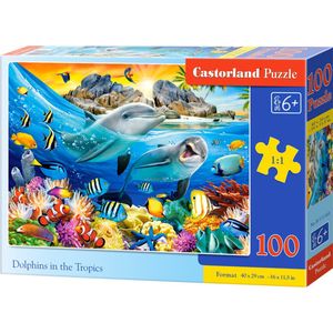 Dolphins in the Tropics - 100pcs