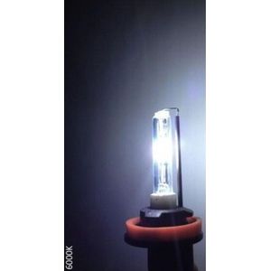 Blanco HID-Xenon lamp H4 Bi-Xenon 6000K, 1 stuk