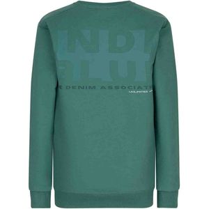 Indian Blue Jeans - Sweater - Washed Green - Maat 140