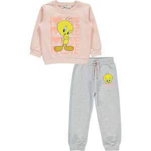 Tweety sweater en broek baby/peuter meisjes - Babykleding