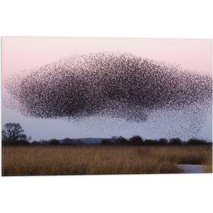 WallClassics - Vlag - Grote Zwerm Vogels in de Lucht - 60x40 cm Foto op Polyester Vlag