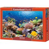 Coral Reef - Legpuzzel - 1000 Stukjes