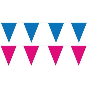 Roze/Blauwe feest punt vlaggetjes pakket - 200 meter - slingers/ vlaggenlijn