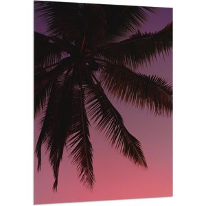 WallClassics - Vlag - Silhouette van een Palmboom bij Roze Lucht - 100x150 cm Foto op Polyester Vlag