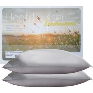 iSleep Hoofdkussen Set (2 Stuks) - Eendenveren - Medium - 1400 gram - 60x70 cm - Wit