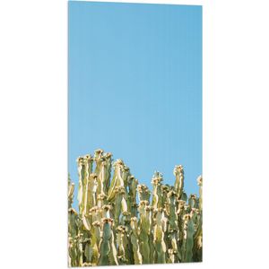 WallClassics - Vlag - Smalle Groene Planten boven Stralend Blauwe Lucht - 50x100 cm Foto op Polyester Vlag