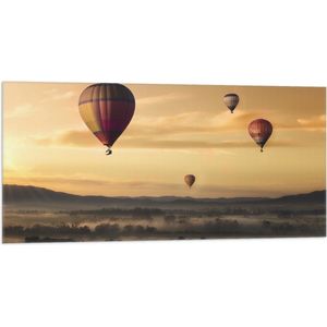 WallClassics - Vlag - Luchtballonen Zwevend boven Open Veld - 100x50 cm Foto op Polyester Vlag