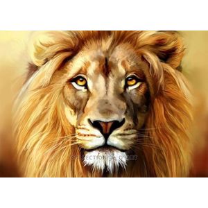 Diamond Painting Lion de5845 Collection d´Art 38 x 27 cm