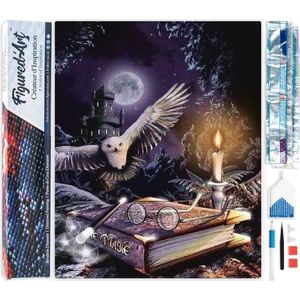 Figured'Art Diamond Painting set Volwassenen 40x50 cm Magische Uil - 5D DIY Art full drill vierkante diamant - Opgerold canvas