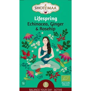Shoti Maa Balance ""Lifespring"" - Biologische kruiden specerijenthee met echinacea, gember en rozenbottel