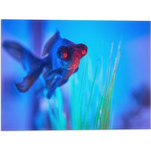 WallClassics - Vlag - Zwemmende Vis in het Water - 40x30 cm Foto op Polyester Vlag