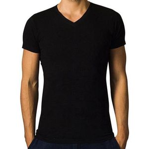 2 x T-shirt Basic - Biologisch katoen - zwart - V - hals