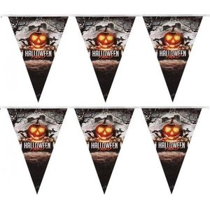 Halloween 2x Vlaggenlijnen/slingers pompoen 250 cm - Halloween feest versiering/decoratie - Horror griezel feestje