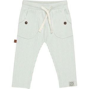 Frogs and Dogs - Dino gestreepte broek | White Alyssum - Katoen - Maat 92