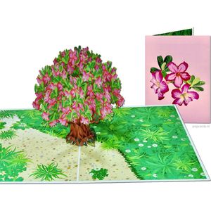 Popcards.nl pop-up kaart - Roze Boom Frangipani Plumeria Tempelboom Sakura pop-up wenskaart 3D kaart