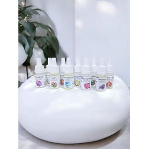 Top 10 Bestseller Geuroliën Set – Luxe Geconcentreerde Cosmetische Geuren voor Zeep, Cosmetica, Kaarsen & Geurblokjes – 10 x 10 ml - ArinKaSoap