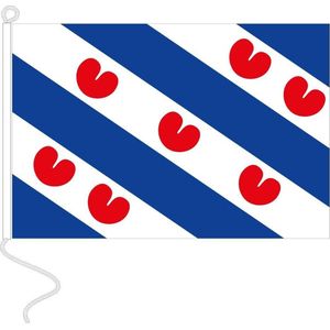 Vlag Friesland 40x60 cm.