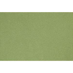 Frans karton, A4, 210x297 mm, 160 gr, Apple Green, 1 vel | Knutselpapier | Knutselkarton