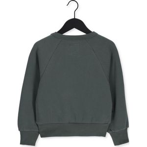 AO76 Aya Sweater Leo Truien & Vesten Meisjes - Sweater - Hoodie - Vest- Olijf - Maat 104