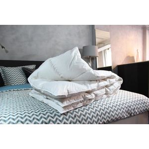 Nuvaro - Luxe Ganzendons Winterdekbed 200 x 220 cm - Tweepersoons