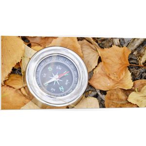 WallClassics - PVC Schuimplaat- Traditioneel Kompas op Stapel Herfstbladeren - 100x50 cm Foto op PVC Schuimplaat