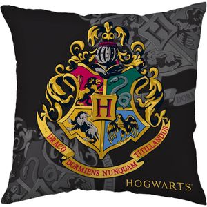 Harry Potter Hogwarts Vierkante Kussen, Sierkussen 40x40 cm