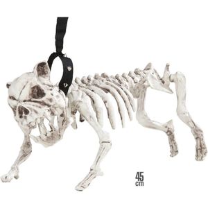 Honden skelet aan riem decoratie Halloween  - Feestdecoratievoorwerp - One size