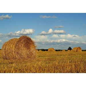 Dibond - Landschap - Hooi / Hooibalen in beige / bruin / blauw / wit / zwart  - 80 x 120 cm.