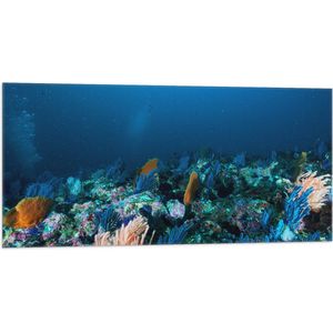 WallClassics - Vlag - Koraal onder Water - 100x50 cm Foto op Polyester Vlag