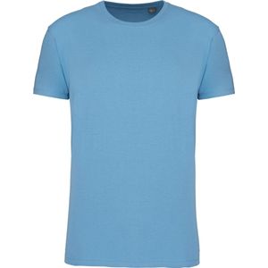 Cloudy Blue Heather 2 Pack T-shirts met ronde hals merk Kariban maat L