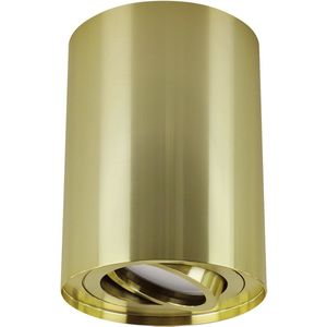 Hary Opbouwspot - Rond - GU10 - 1 Lichtpunt - past over centraaldoos - Goud kleur - Spotjes voor woonkamer, slaapkamer of keuken