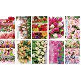 10 Felicitatie Wenskaarten - Lente Bloemen / Voorjaar - 12x17cm - Gevouwen kaarten met enveloppen
