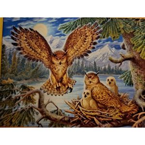 Diamond Painting Volwassenen - Diamond Painting Kinderen - Diamond Painting Pakket Volledig - Canvas - 50x40cm - Painting 45x35cm