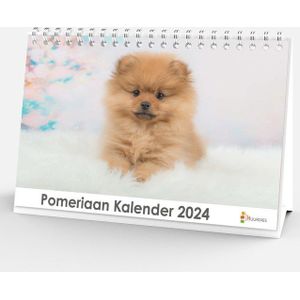 Bureaukalender 2024 - Pomeriaan - 20x12cm - 300gms