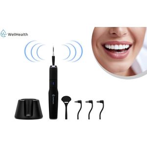 Wellhealth - Tandsteenreiniger met accessoires voor een gezond gebit - Tandsteenreiniger