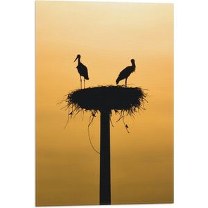 WallClassics - Vlag - Silhouet van Ooievaars op het Nest - 40x60 cm Foto op Polyester Vlag